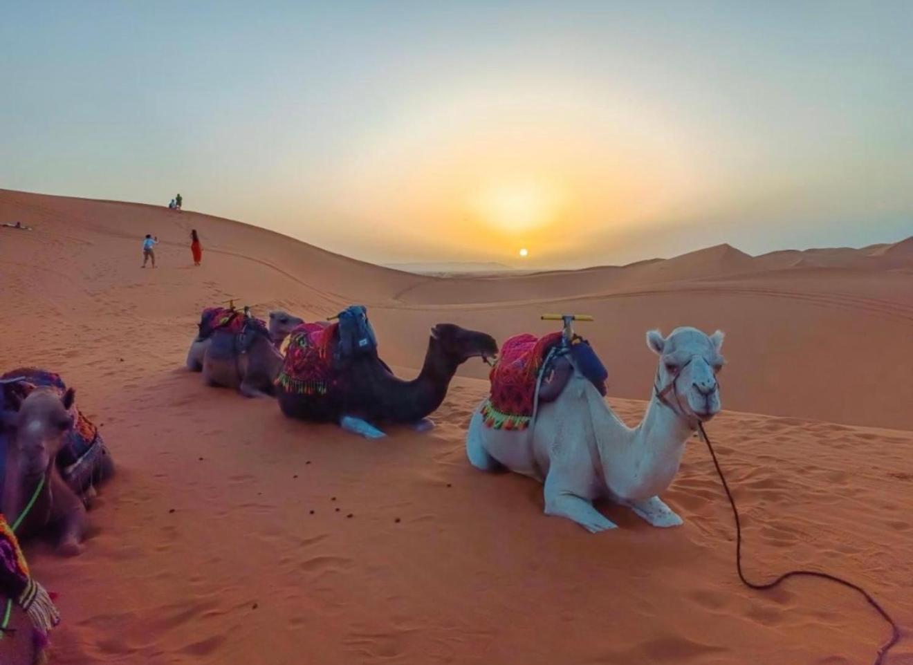 Merzouga Lovely Luxury Camp Екстериор снимка